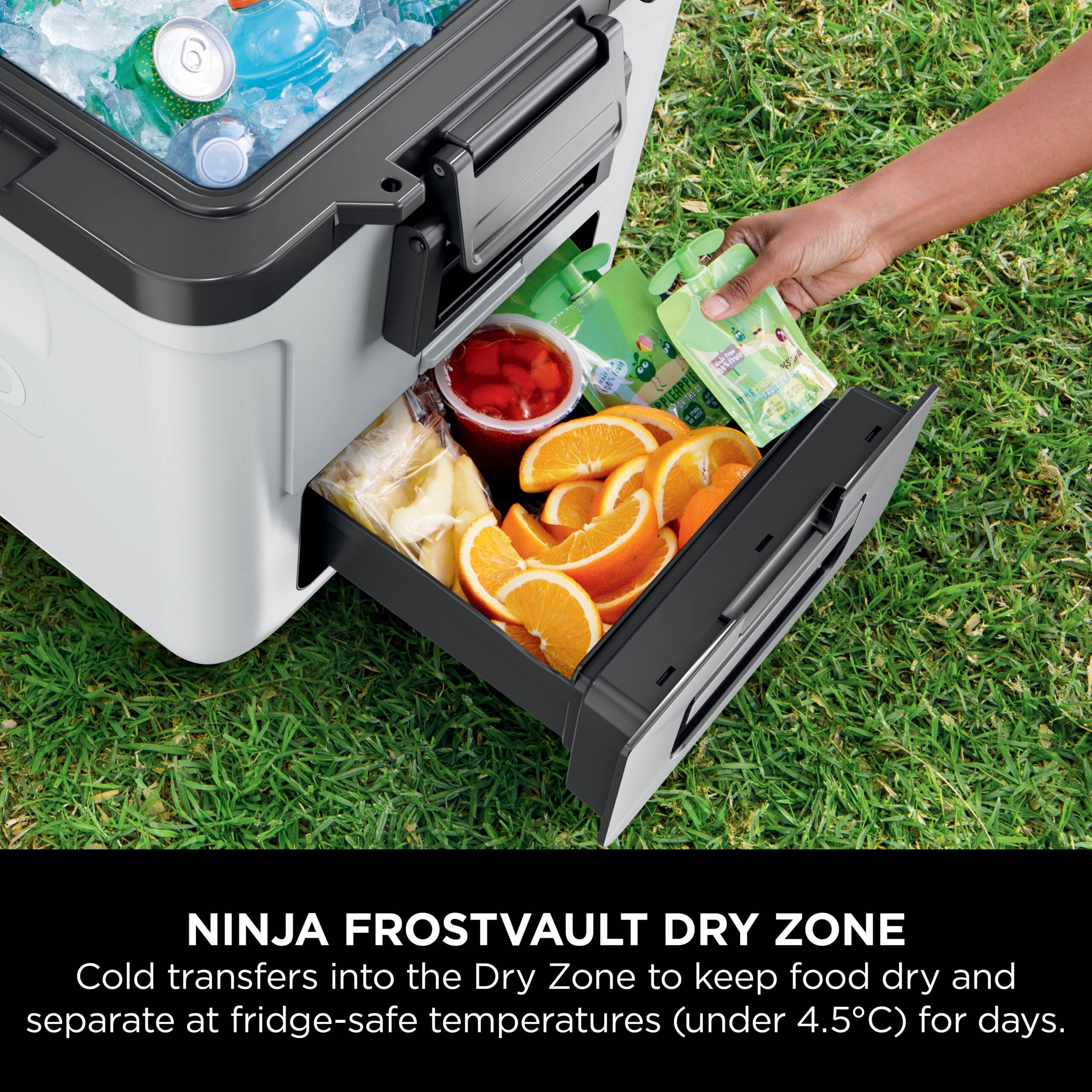 Ninja FB230EUWH Frost Vault Kolieskový chladiaci box – 28L – Biela