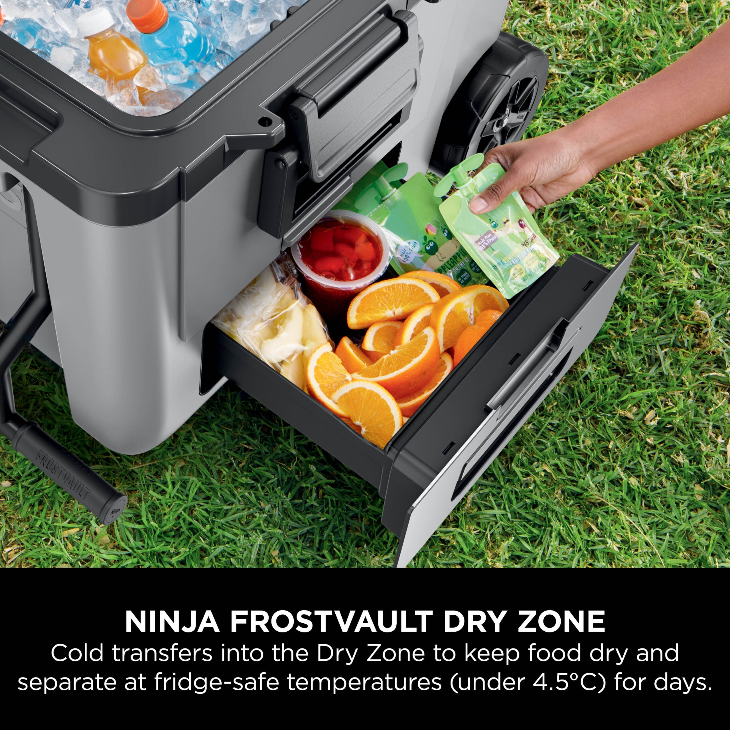 Ninja FB245EUGY Frost Vault Kolieskový chladiaci box – 42L – Bridlicovo sivá