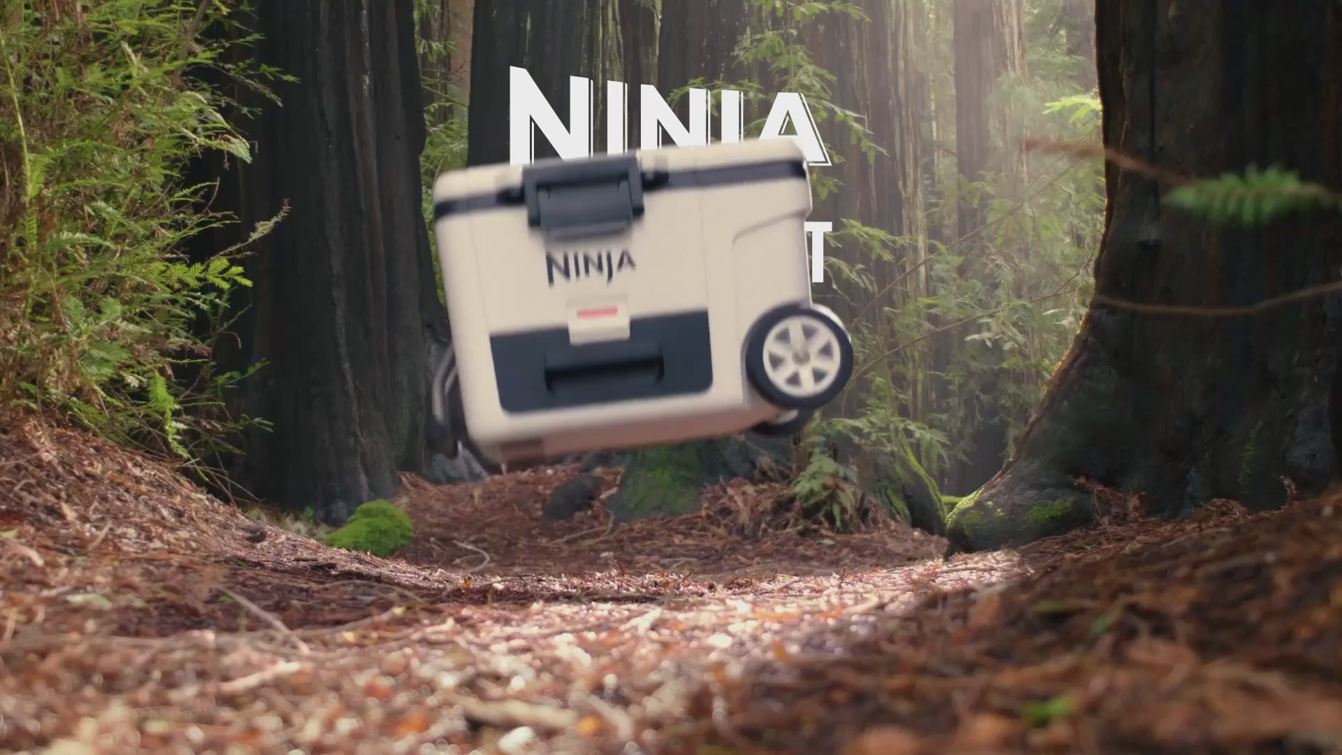 Nahrať video: 